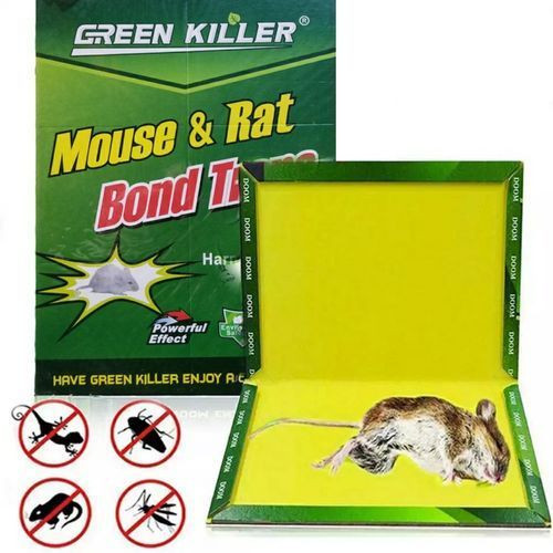 COLLE SOURIS GM
